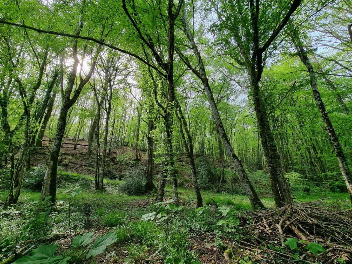 Le Domaine Du Cerf - Gites, Nature Et Spa Сент-Уан-ле-Винь Экстерьер фото