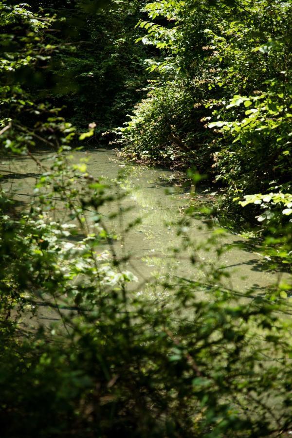 Le Domaine Du Cerf - Gites, Nature Et Spa Сент-Уан-ле-Винь Экстерьер фото